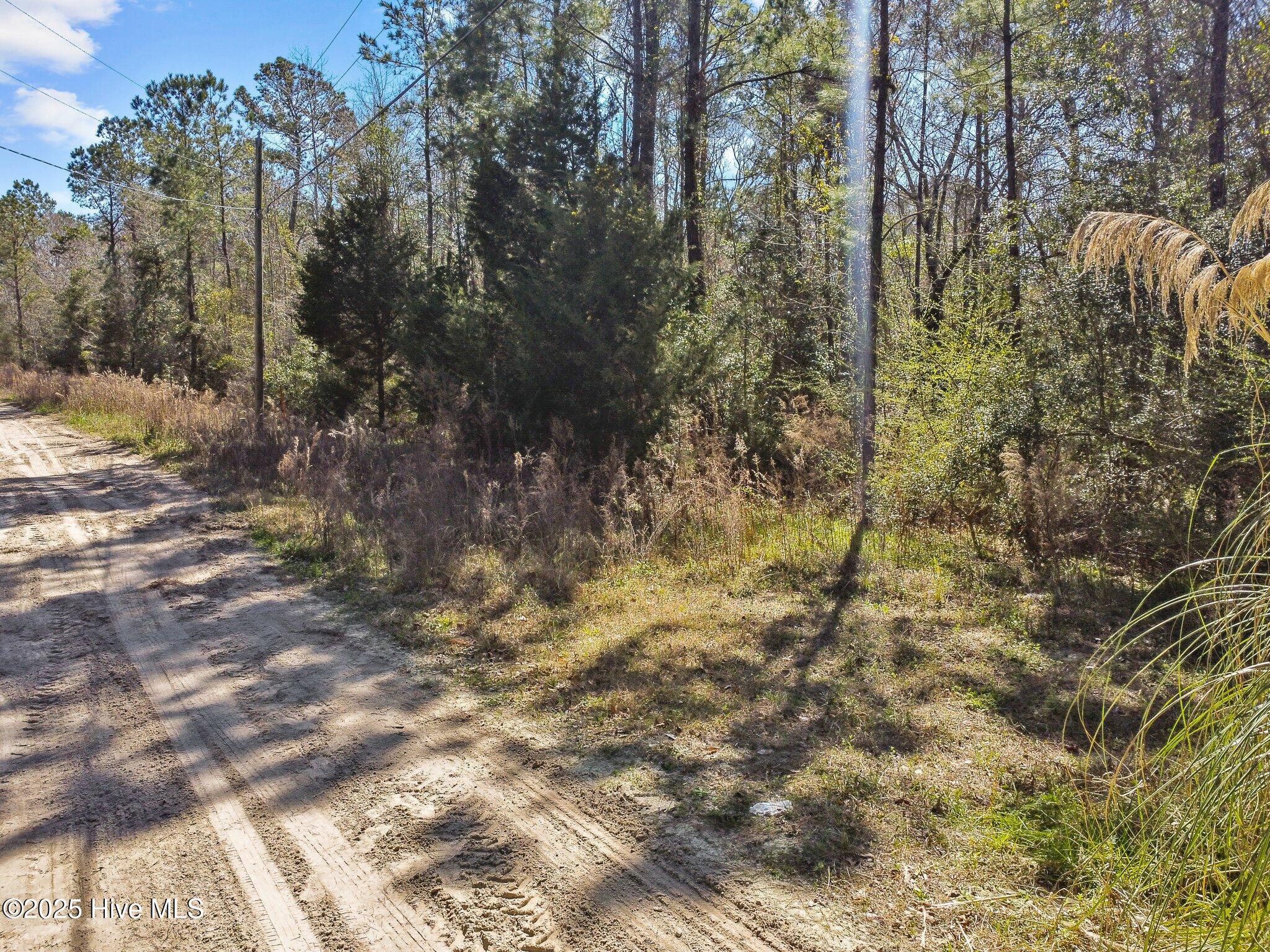 310 Clearview Drive Holly Ridge, NC 28445 - Photo 5 of 23 2-web-or-mls-02