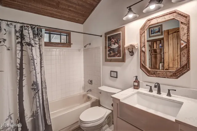 a bathroom with a toilet a sink a mirror a bathtub and shower