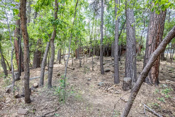 $415,000 | 3865 Hunt Drive, Pine, AZ 85544