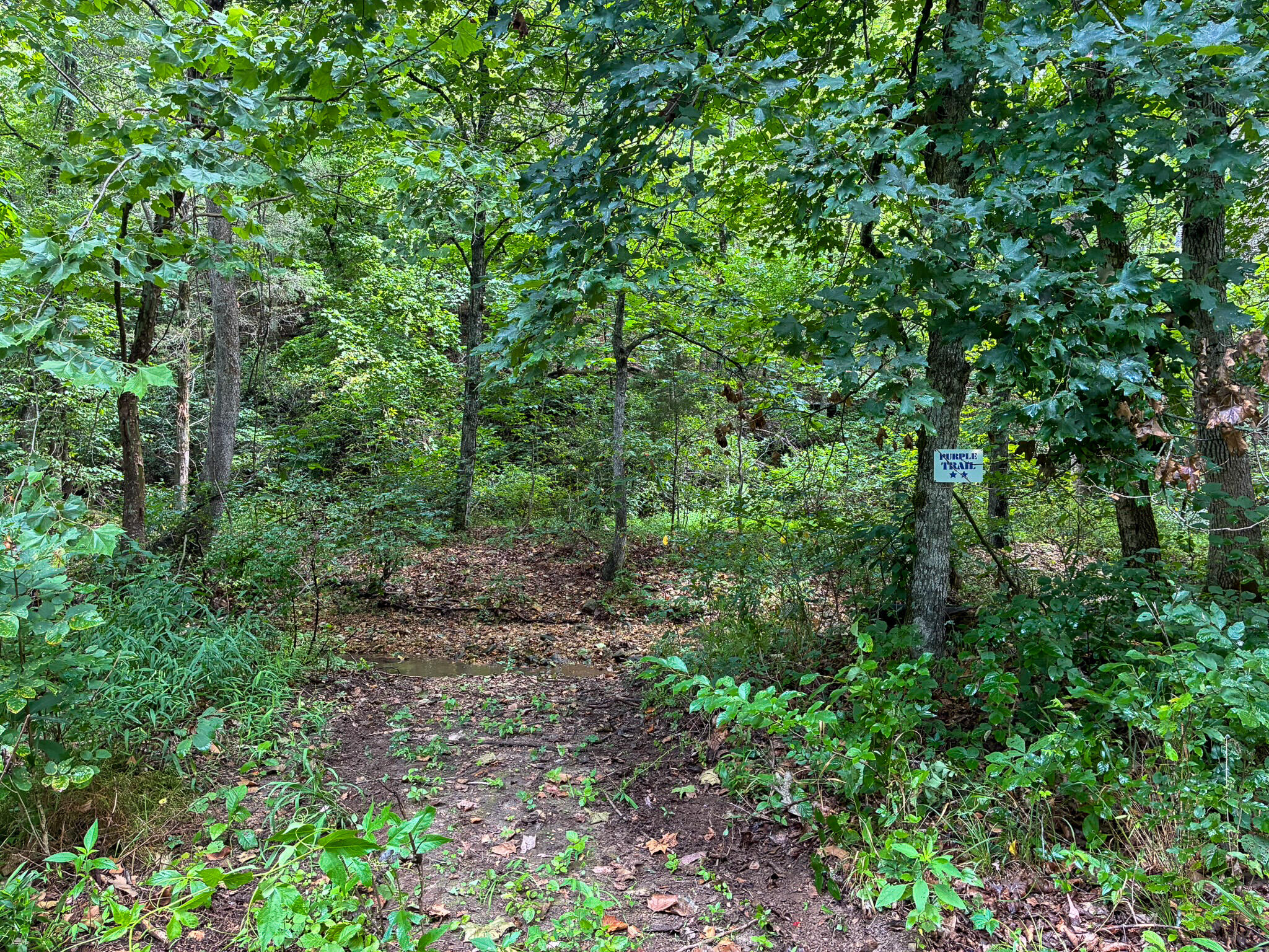 121 Legacy Farms Road Chestnutridge, MO 65630 - Photo 55 of 60 1(54)