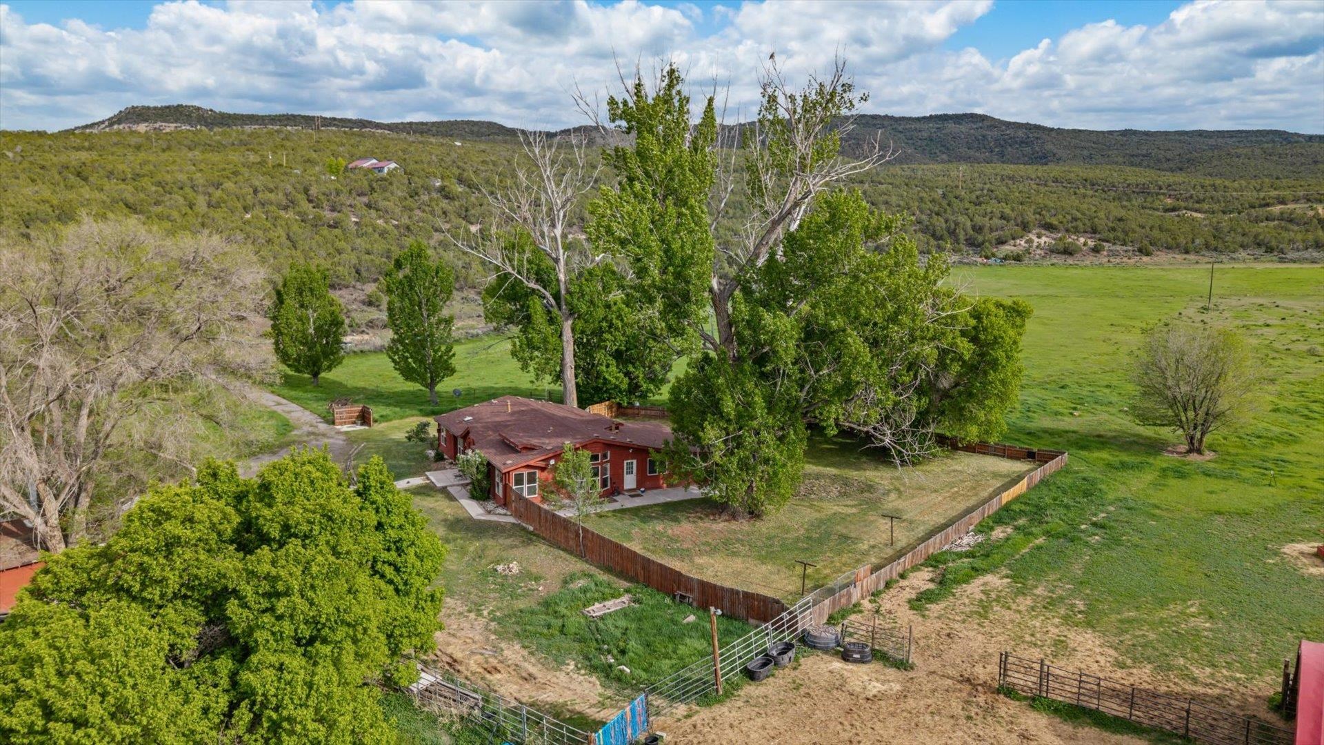 10479 50 Road Mesa, CO 81643 - Photo 34 of 42