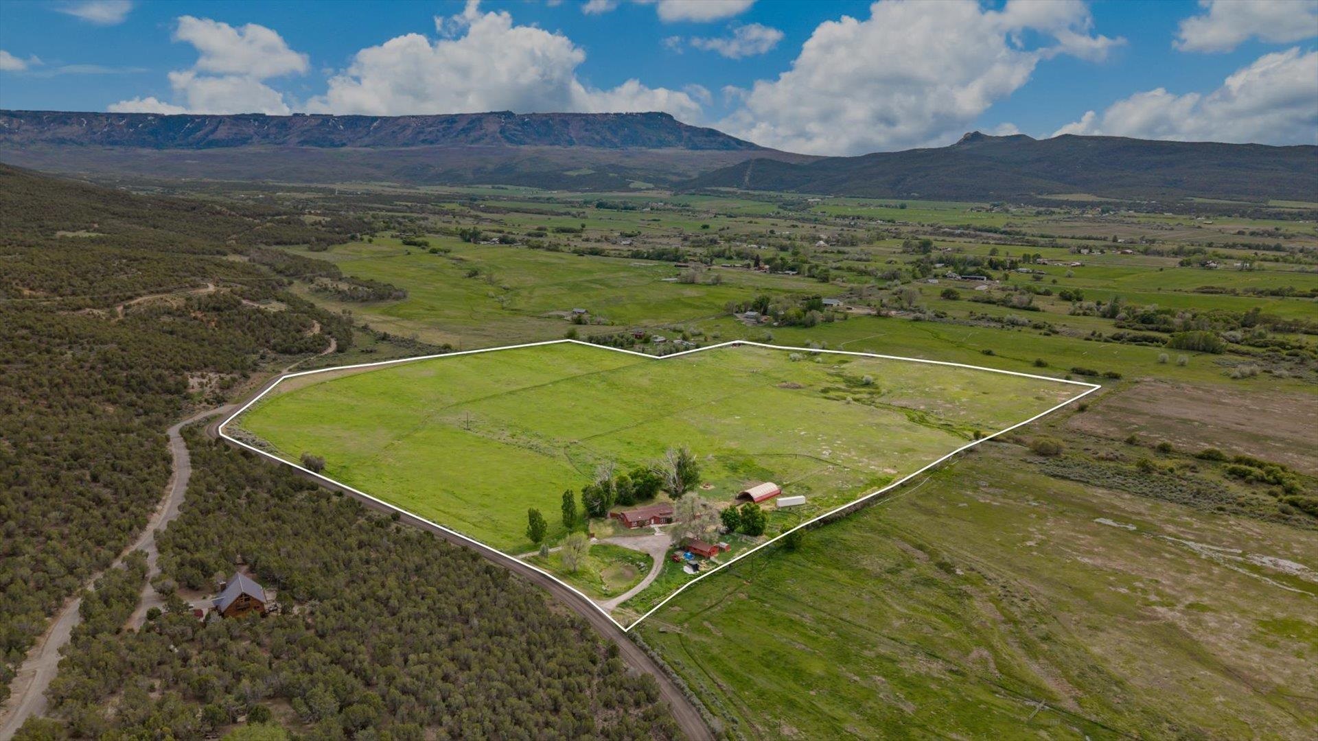 10479 50 Road Mesa, CO 81643 - Photo 5 of 42