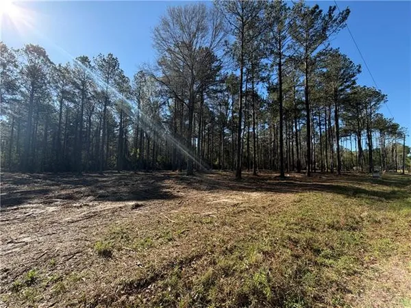 $65,000 | Tbd-11-acres Tatoo Road, Glenmora, LA 71433