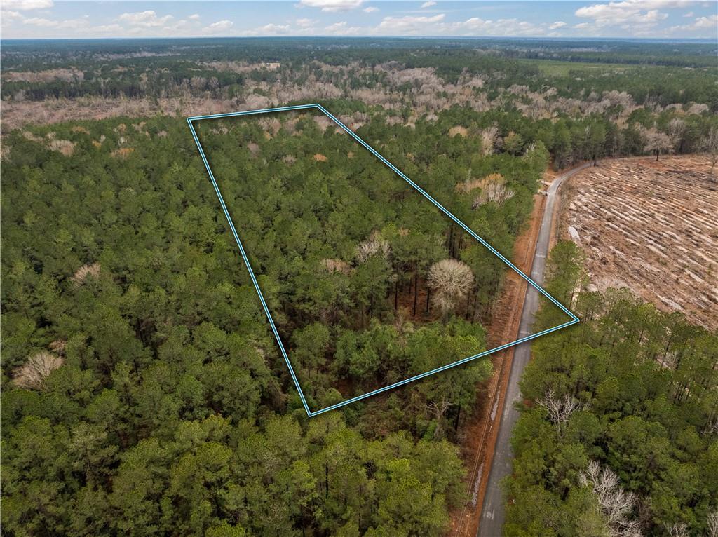 Tbd-11-acres Tatoo Road Glenmora, LA 71433 - Photo 1 of 17