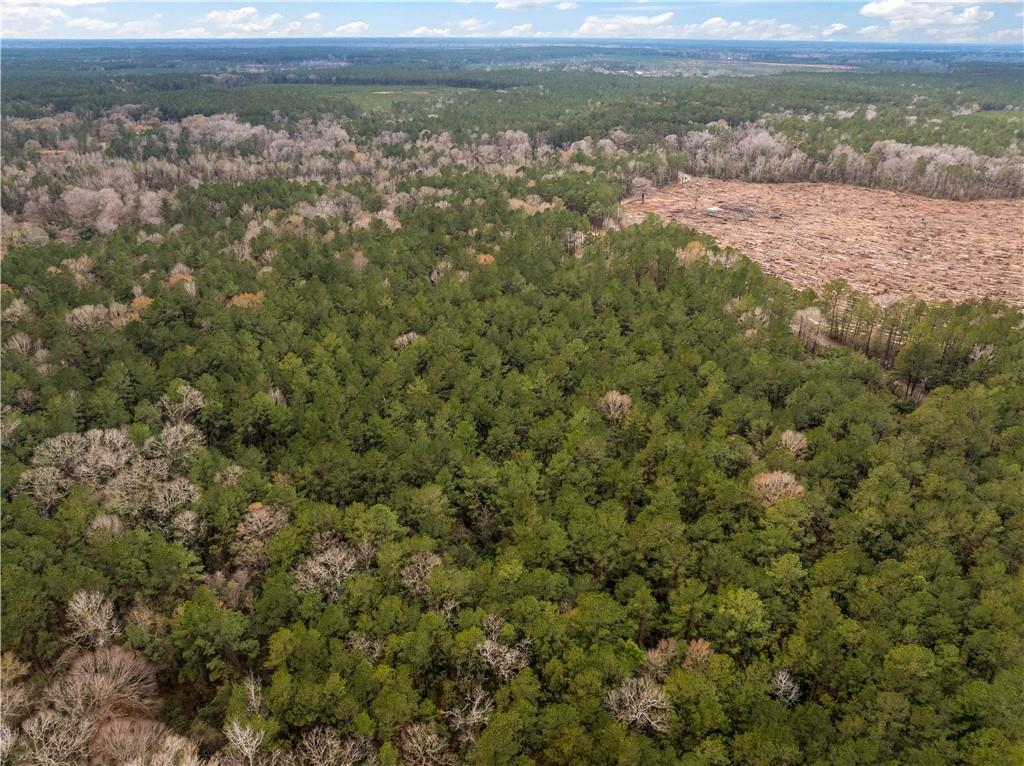 Tbd-11-acres Tatoo Road Glenmora, LA 71433 - Photo 11 of 17