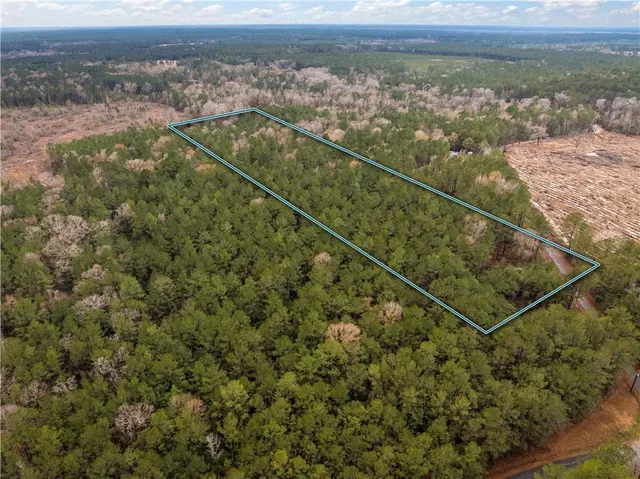 $65,000 | Tbd-11-acres Tatoo Road, Glenmora, LA 71433