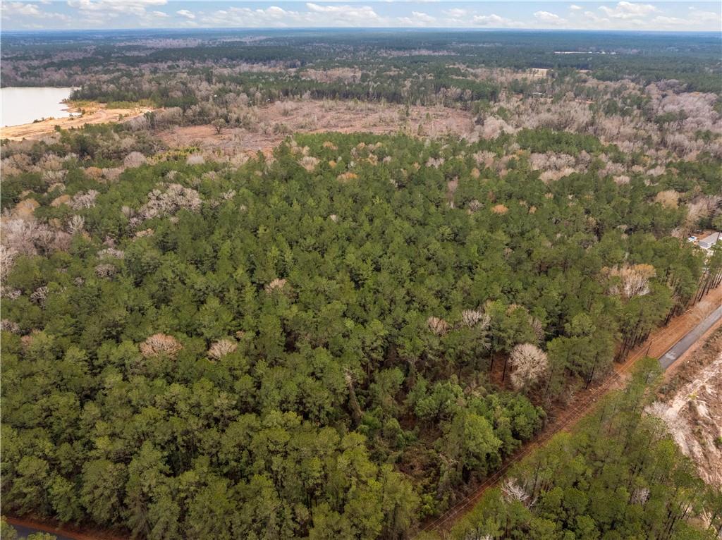 Tbd-11-acres Tatoo Road Glenmora, LA 71433 - Photo 14 of 17