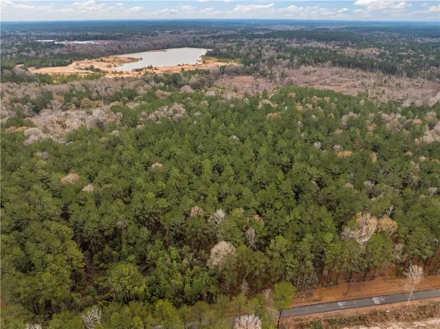 $65,000 | Tbd-11-acres Tatoo Road, Glenmora, LA 71433