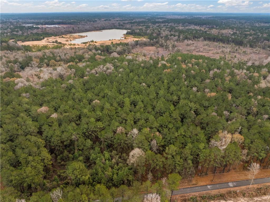 Tbd-11-acres Tatoo Road Glenmora, LA 71433 - Photo 15 of 17