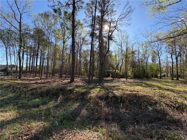Tbd-11-acres Tatoo Road Glenmora, LA 71433 - Photo 2 of 6