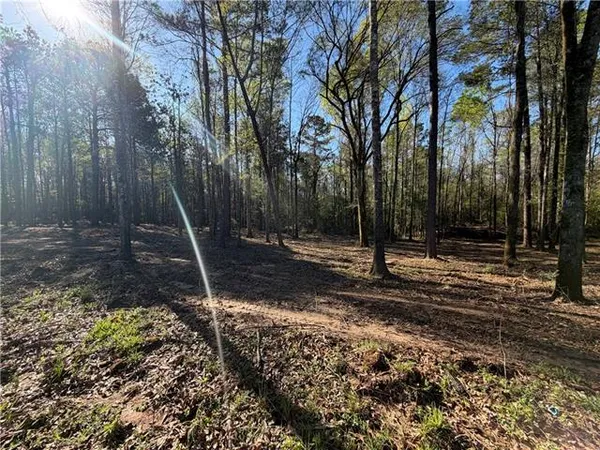 $65,000 | Tbd-11-acres Tatoo Road, Glenmora, LA 71433