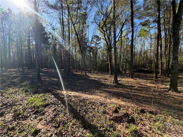 Tbd-11-acres Tatoo Road Glenmora, LA 71433 - Photo 3 of 6
