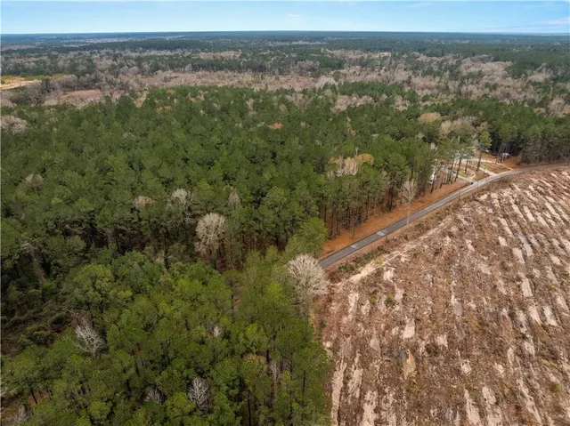 $65,000 | Tbd-11-acres Tatoo Road, Glenmora, LA 71433