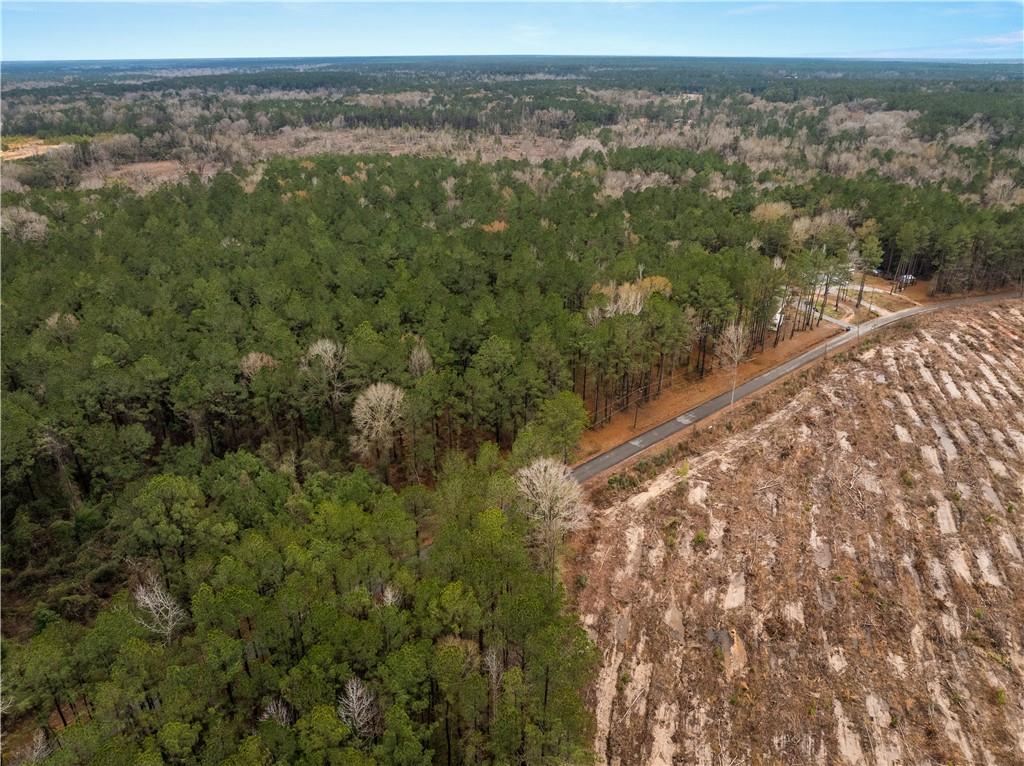 Tbd-11-acres Tatoo Road Glenmora, LA 71433 - Photo 3 of 17