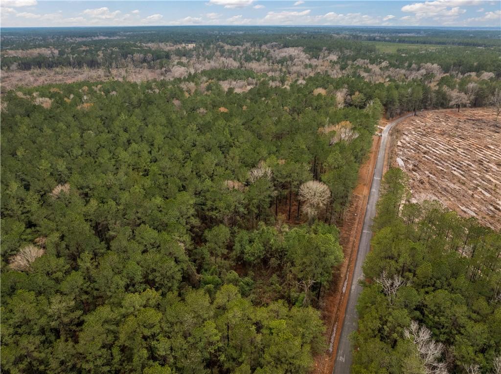 Tbd-11-acres Tatoo Road Glenmora, LA 71433 - Photo 4 of 17