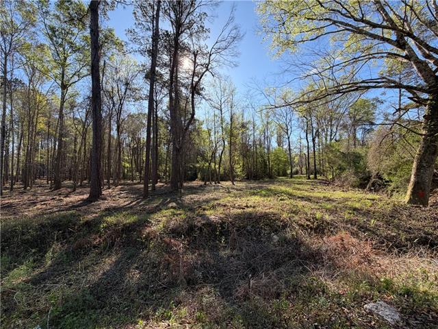 Tbd-11-acres Tatoo Road Glenmora, LA 71433 - Photo 4 of 6