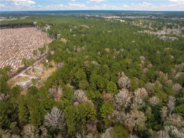$65,000 | Tbd-11-acres Tatoo Road, Glenmora, LA 71433