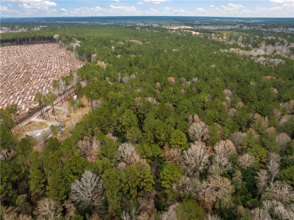 Tbd-11-acres Tatoo Road Glenmora, LA 71433 - Photo 5 of 17