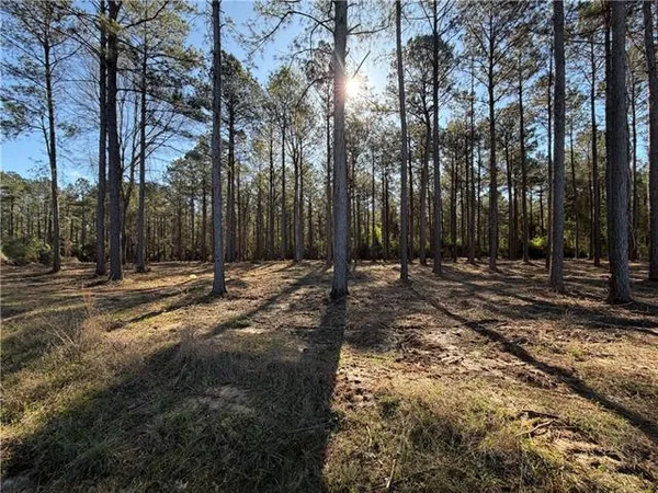 $65,000 | Tbd-11-acres Tatoo Road, Glenmora, LA 71433