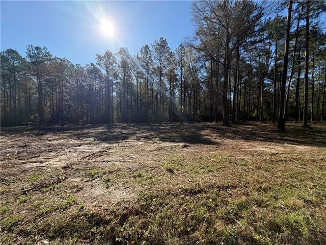 Tbd-11-acres Tatoo Road Glenmora, LA 71433 - Photo 6 of 6