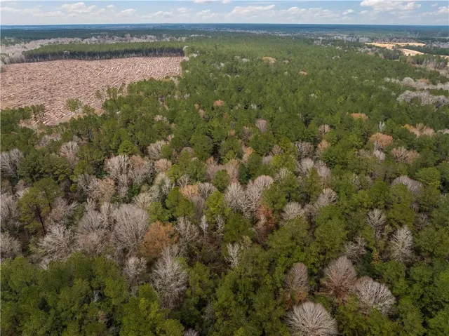 $65,000 | Tbd-11-acres Tatoo Road, Glenmora, LA 71433
