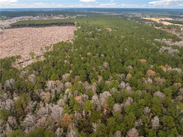 $65,000 | Tbd-11-acres Tatoo Road, Glenmora, LA 71433