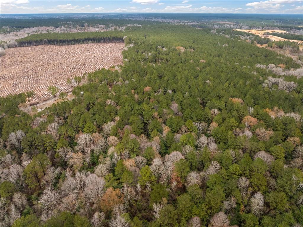 Tbd-11-acres Tatoo Road Glenmora, LA 71433 - Photo 7 of 17