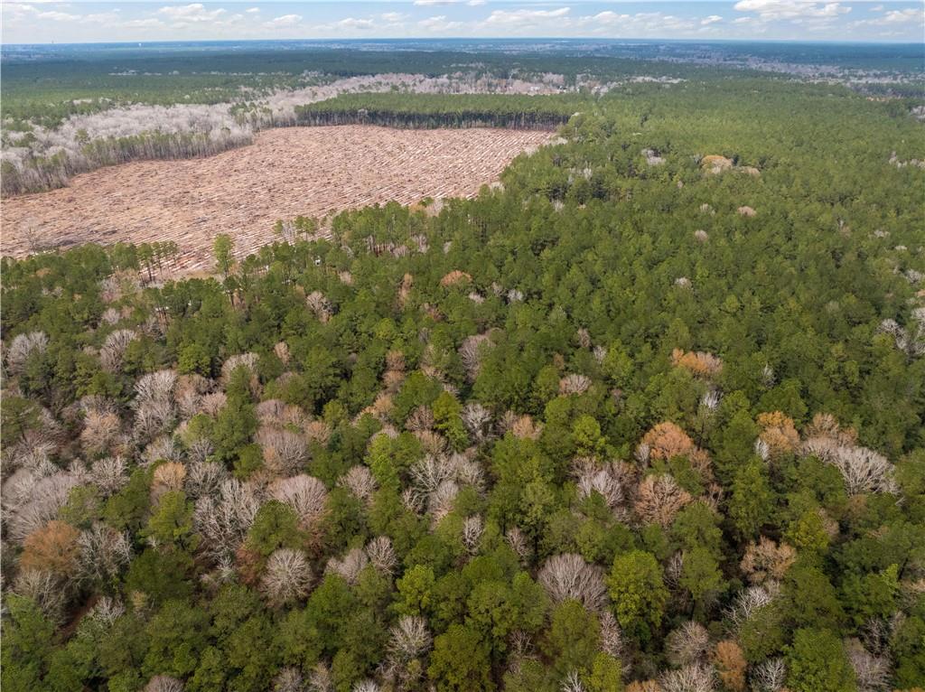 Tbd-11-acres Tatoo Road Glenmora, LA 71433 - Photo 8 of 17