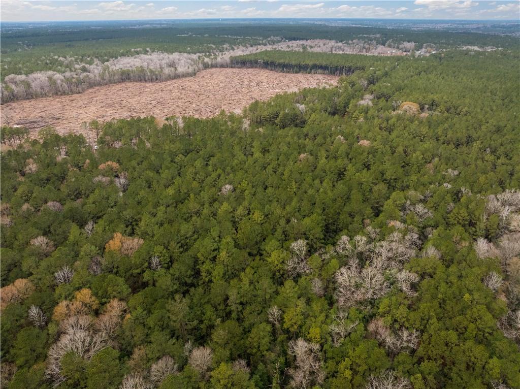 Tbd-11-acres Tatoo Road Glenmora, LA 71433 - Photo 9 of 17