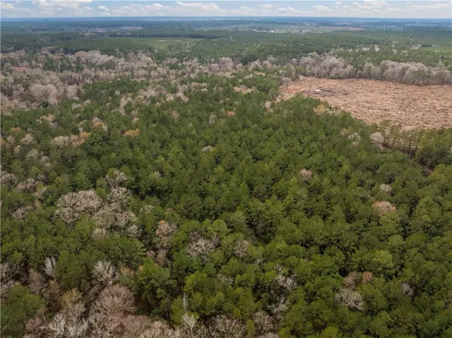 $65,000 | Tbd-11-acres Tatoo Road, Glenmora, LA 71433