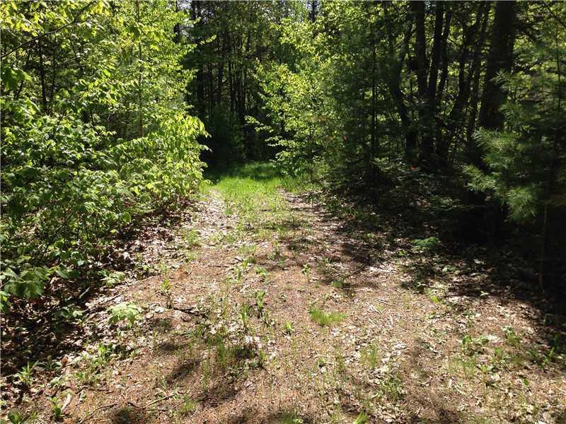 360 Bath Road Wiscasset, ME 04578 - Photo 21 of 24 Other. Woods road to left of house...
