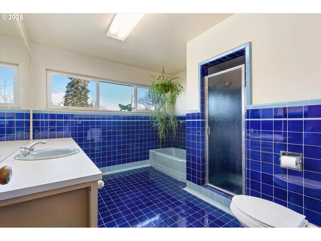 a bathroom with a toilet and a bathtub