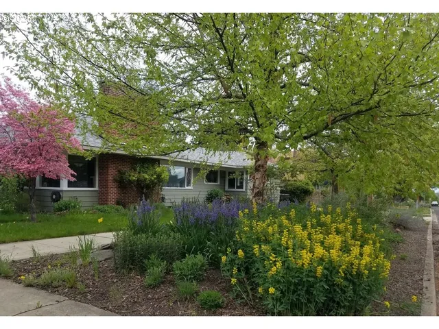a view of a house with a tree