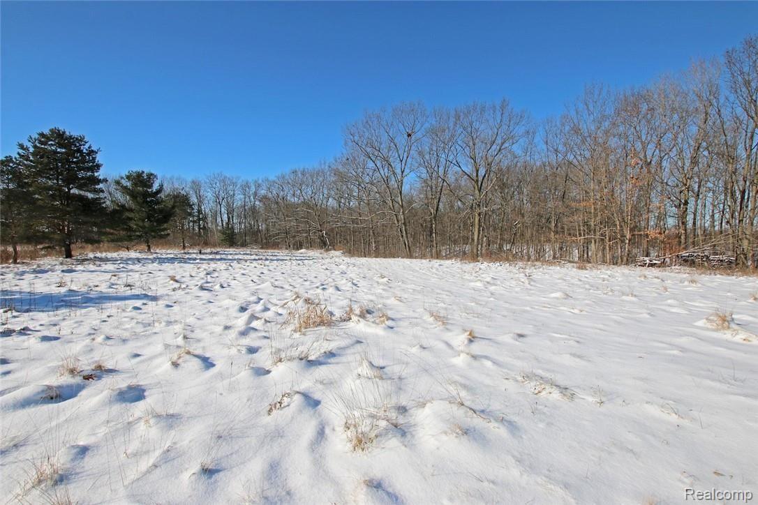 8261 Elms Road Flushing, MI 48433 - Photo 24 of 29 46) Backyard.jpg