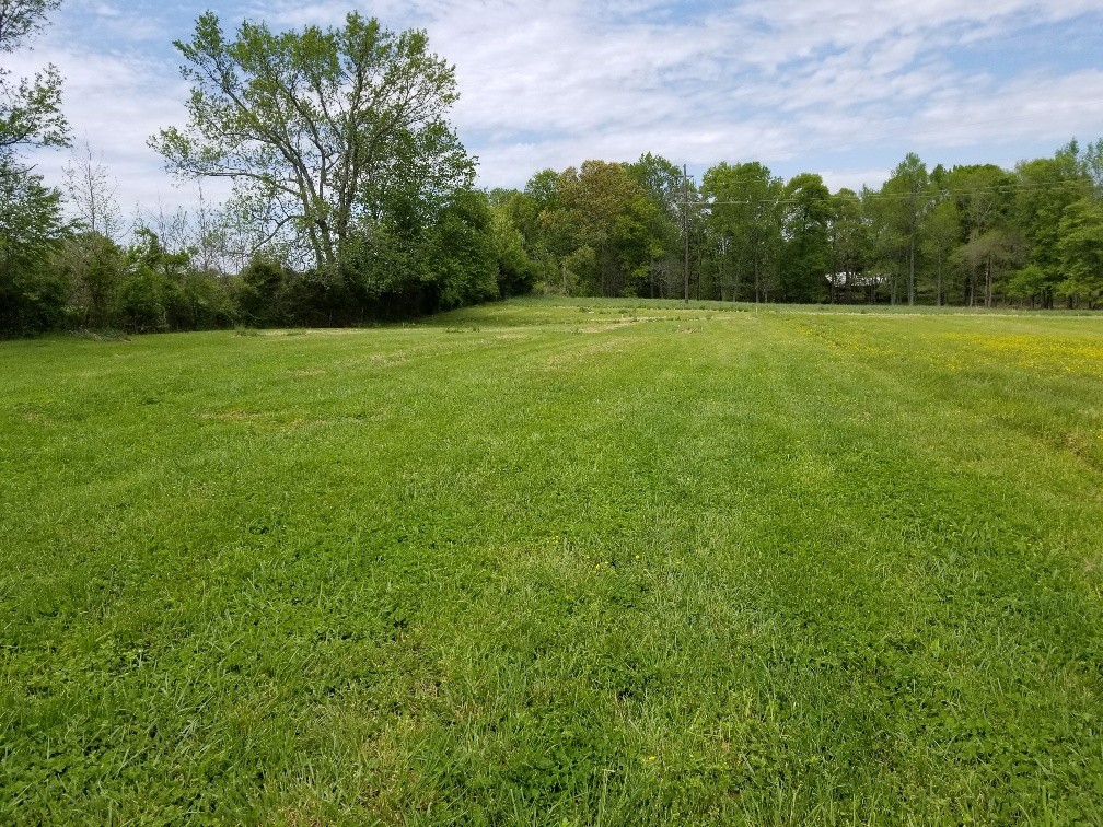 552 Jack Porter Road Lafayette, TN 37083 - Photo 5 of 26 Gallery Image 5