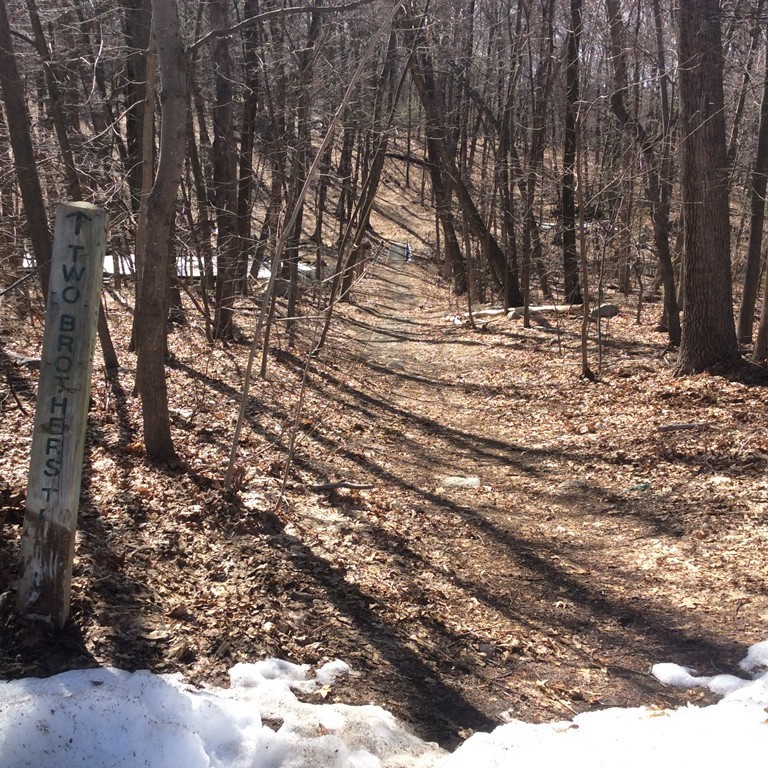 Lot 1-21 Cedar Road Littleton, MA 01460 - Photo 4 of 7 Gallery Image 4
