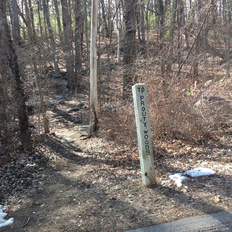 Lot 1-21 Cedar Road Littleton, MA 01460 - Photo 5 of 7 Gallery Image 5