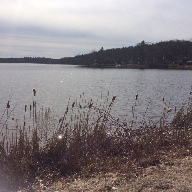 Lot 1-21 Cedar Road Littleton, MA 01460 - Photo 6 of 7 Gallery Image 6