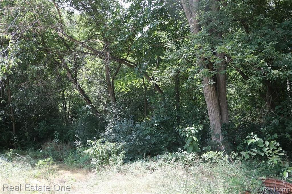 V/l Gregory Road Lake Orion, MI 48359 - Photo 4 of 6