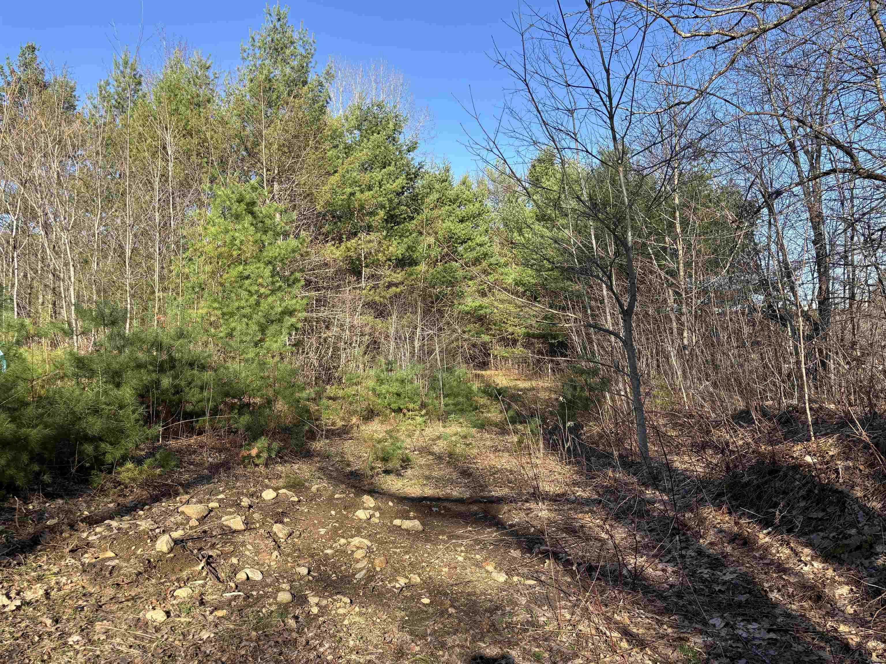 0 Simonsville Road Andover, VT 05143 - Photo 7 of 19