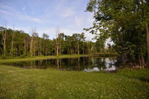 10407 Clinton Road Manchester, MI 48158 - Photo 23 of 25 20413384-22.JPG