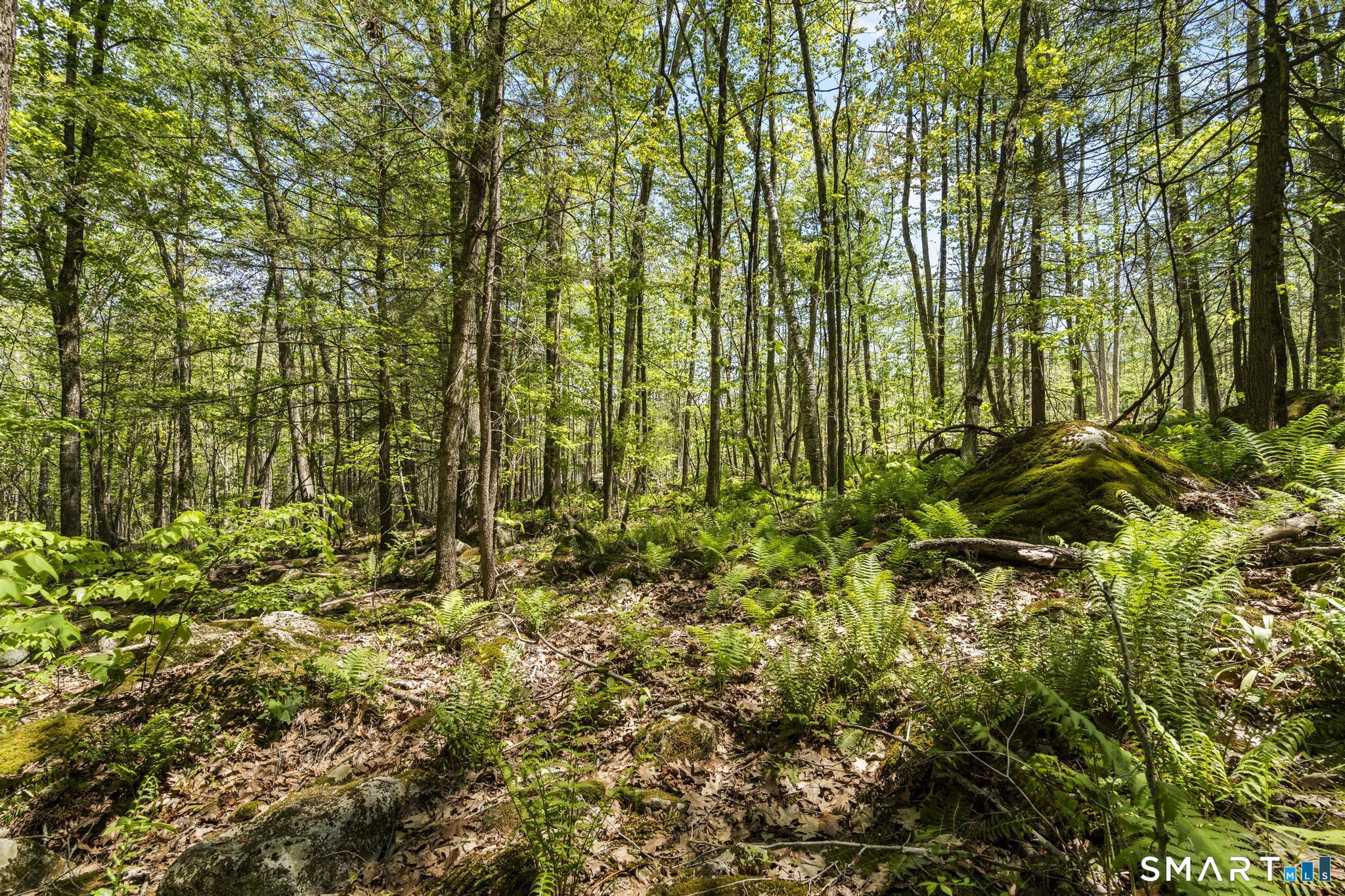 321 Colebrook Road Winchester, CT 06098 - Photo 21 of 39