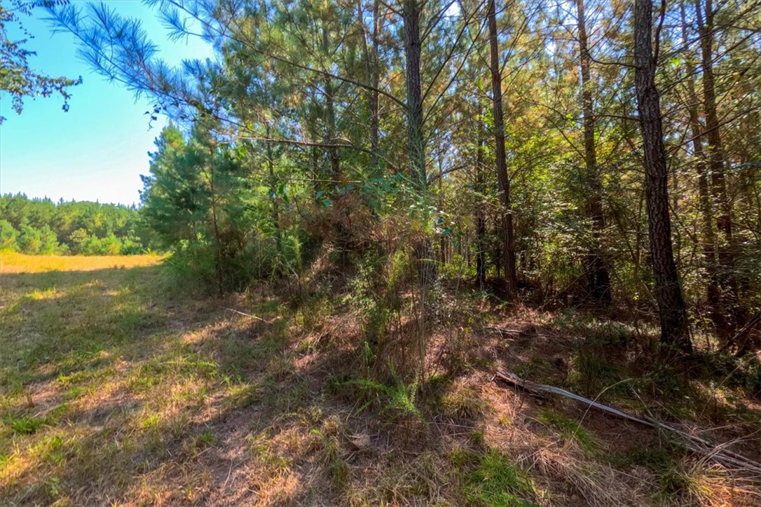 79.87-ac Sam Turner Road Iva, SC 29655 - Photo 2 of 18 Gallery Image 2