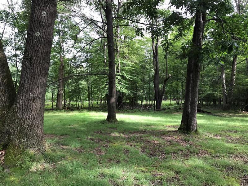 2067 Dennison Run Road Polk, PA 16342 - Photo 3 of 10