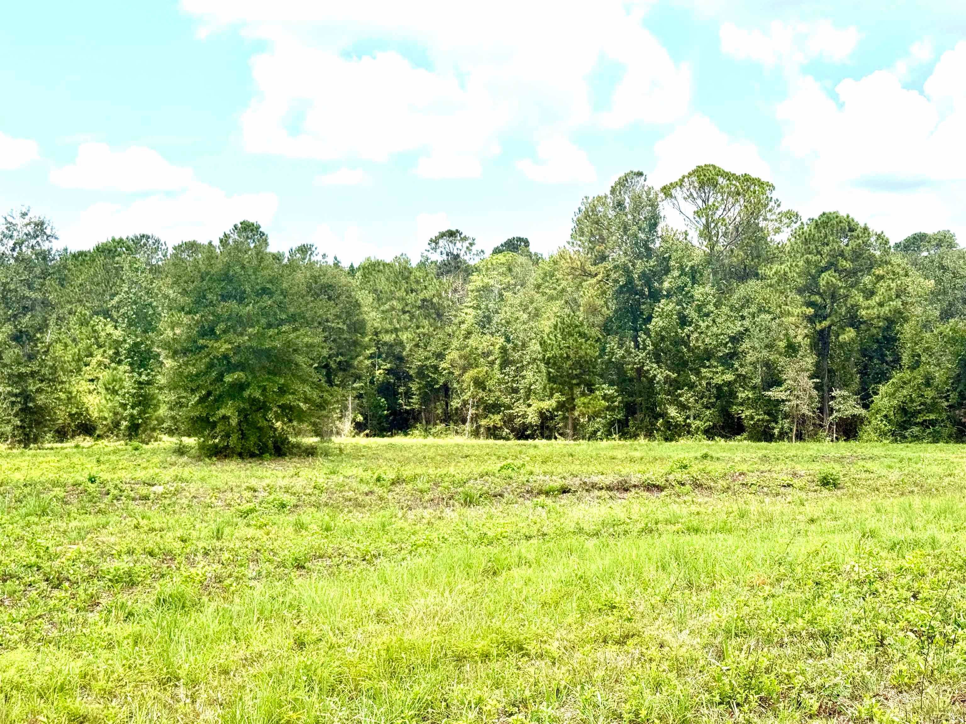 23777 Babbie Road Andalusia, AL 36421 - Photo 3 of 7 Gallery Image 3