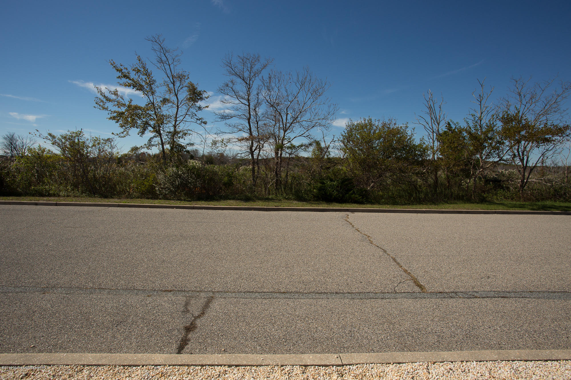 224 Edison Road Barnegat, NJ 08005 - Photo 20 of 23 224Edison_Pingaro_GR-20