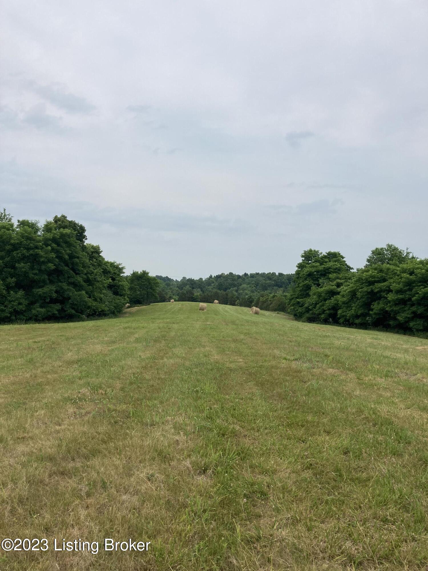 225 Burgin-Noel Road Bloomfield, KY 40008 - Photo 2 of 12 IMG_4296