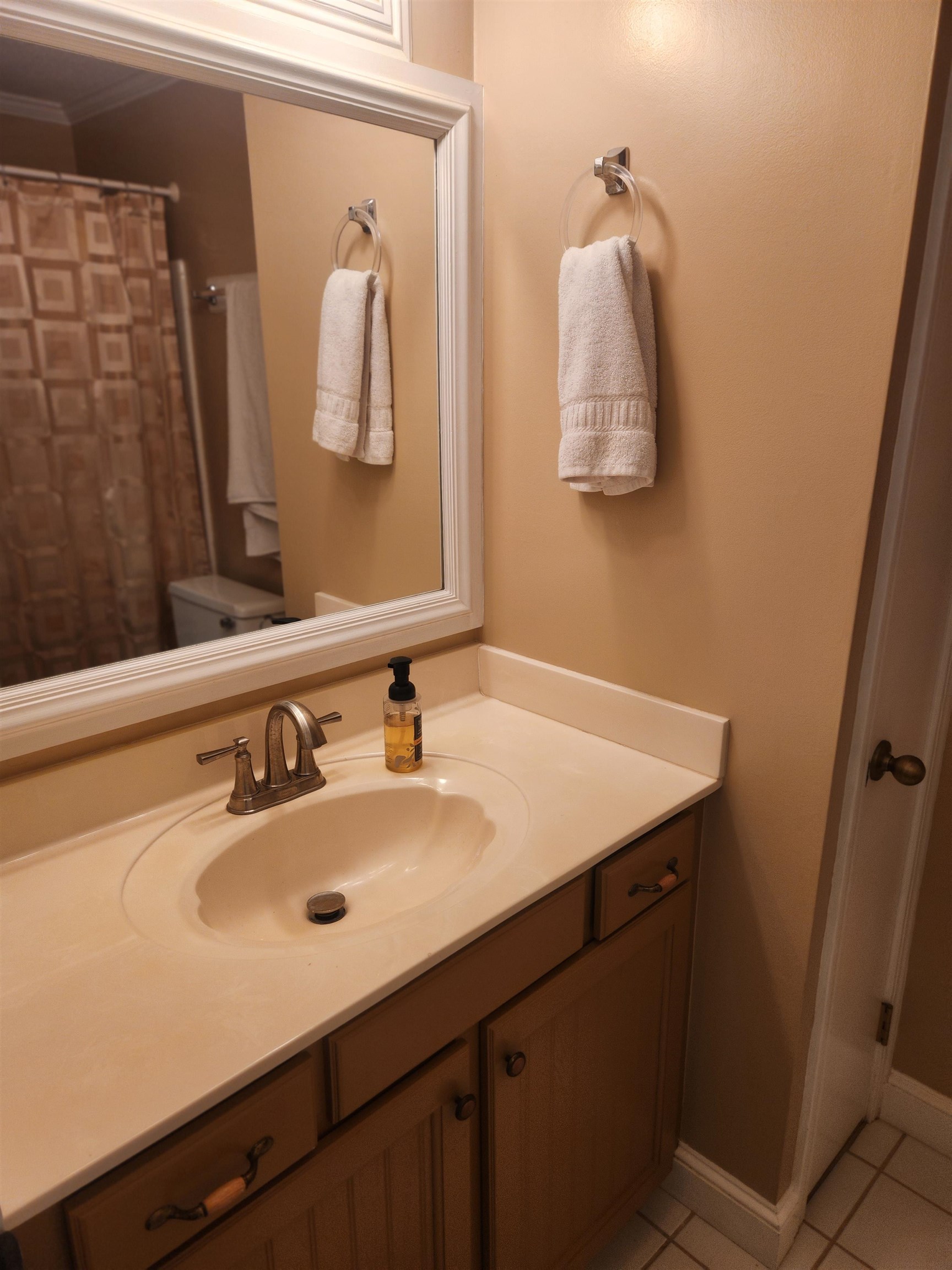 1424 Mullins Station Road Memphis, TN 38134 - Photo 21 of 40 a bathroom with a sink vanity and mirror