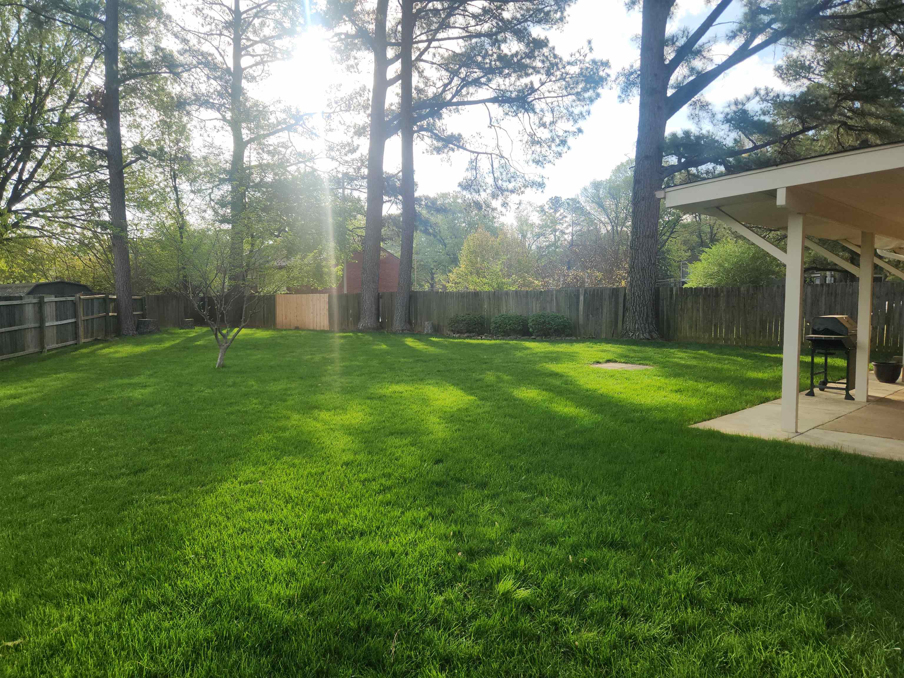 1424 Mullins Station Road Memphis, TN 38134 - Photo 40 of 40 a backyard of a house with lots of green space and fountain
