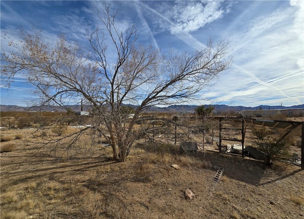6057 Kit Drive Golden Valley, AZ 86413 - Photo 7 of 13 Yard